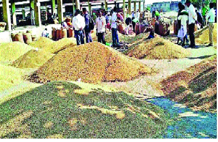  Soybean Producer Plunder: - The convenient ignore of the Market Committee in Islamabad | सोयाबीन उत्पादकांची लूट - : इस्लामपुरात बाजार समितीचे सोयीस्कर दुर्लक्ष