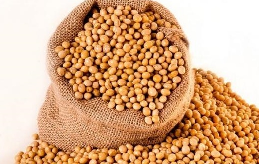 Bogus bean seeds; Crimes filed against 25 companies | बोगस सोयाबीन बियाणे; २५ कंपन्यांवर गुन्हे दाखल