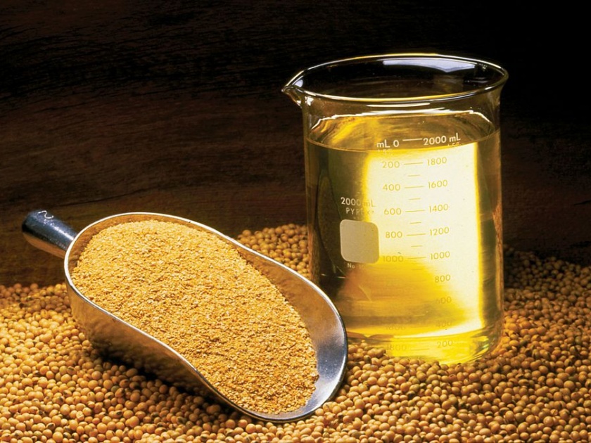  There is no expected increase in the price of soybean even after the import duty on edible oil increased! | खाद्य तेलावर आयात शुल्क वाढल्यानंतरही सोयाबीनच्या दरात अपेक्षीत वाढ नाहीच !