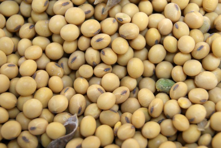 Complaints on 9,000 bogus soybeans, only two crimes! | बोगस सोयाबीनच्या नऊ हजारांवर तक्रारी, गुन्हे मात्र दोनच !