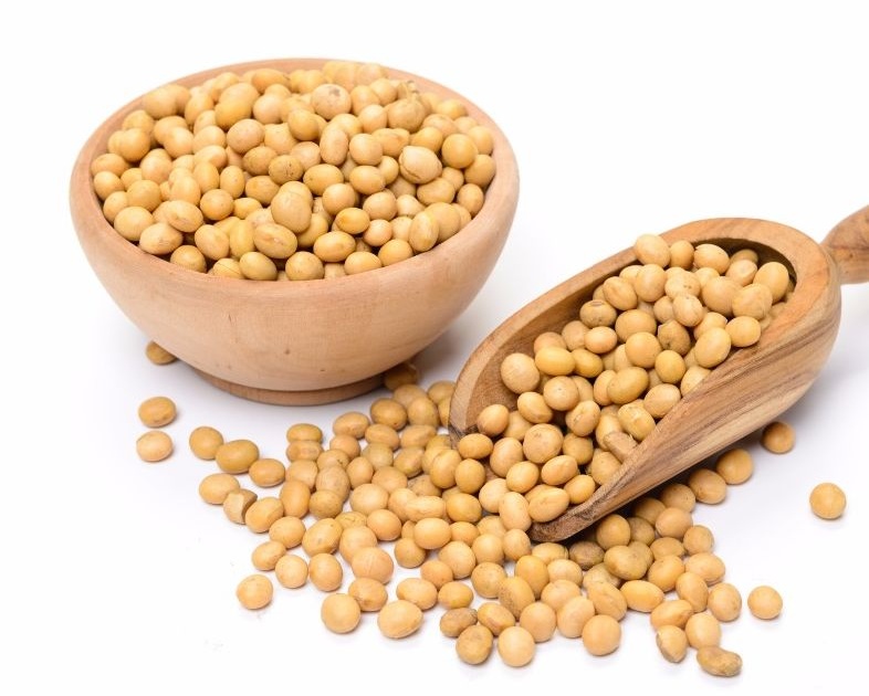 Health benefits of eating soyabean | सोयाबीनचे आरोग्यदायी फायदे तुम्हाला माहीत आहेत का?