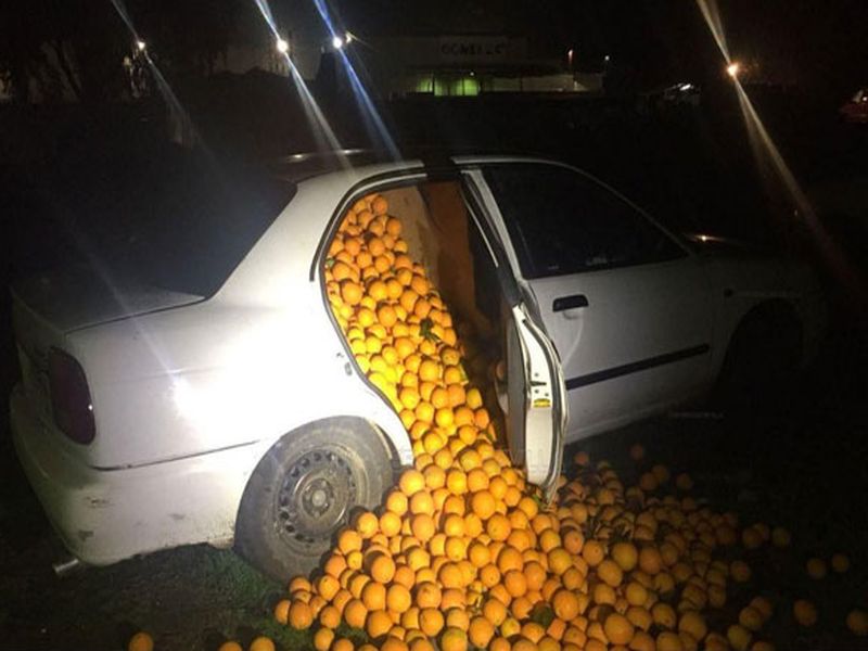 Police seized Cars Packed With 4,000 Kilos Of Stolen Oranges | अजब ! कारमध्ये लपवून ठेवली होती चार हजार किलो संत्री, पोलिसांनी केली जप्त