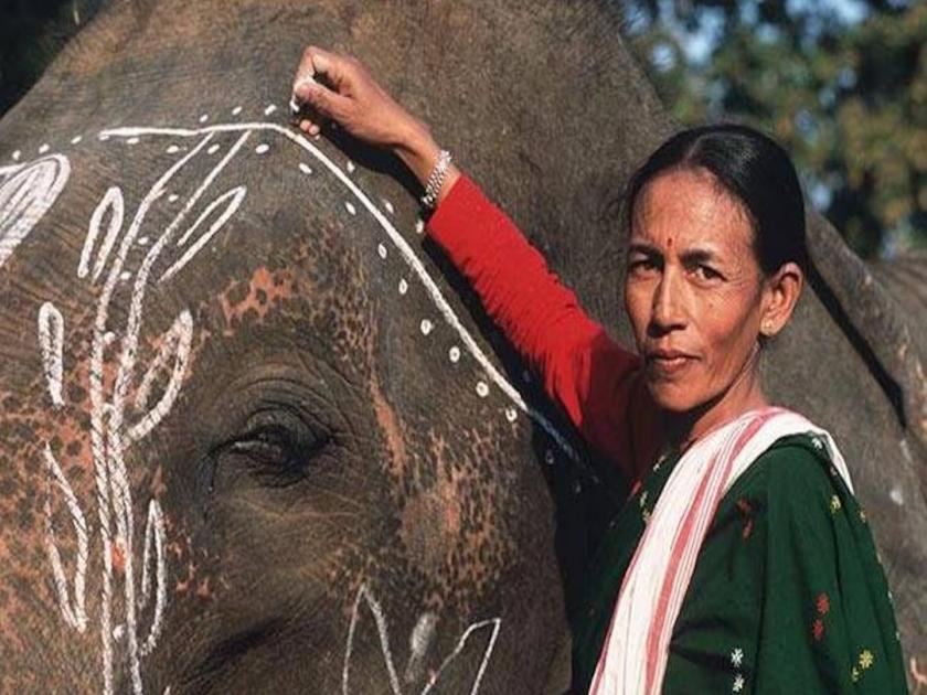 Padma Awards 2024: First woman elephant mahout among 34 unsung heroes awarded Padma awards | Padma Awards 2024: पद्म पुरस्काराची घोषणा; देशातील पहिल्या महिला माहुतसह ३४ जणांची निवड