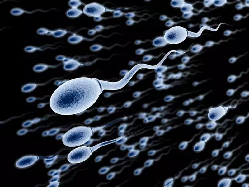 by donating sperm on Facebook man becomes father of 22 children | फेसबुकवर 'विकी डोनर'; स्पर्म डोनेट करून 'तो' झाला २२ मुलांचा बाप