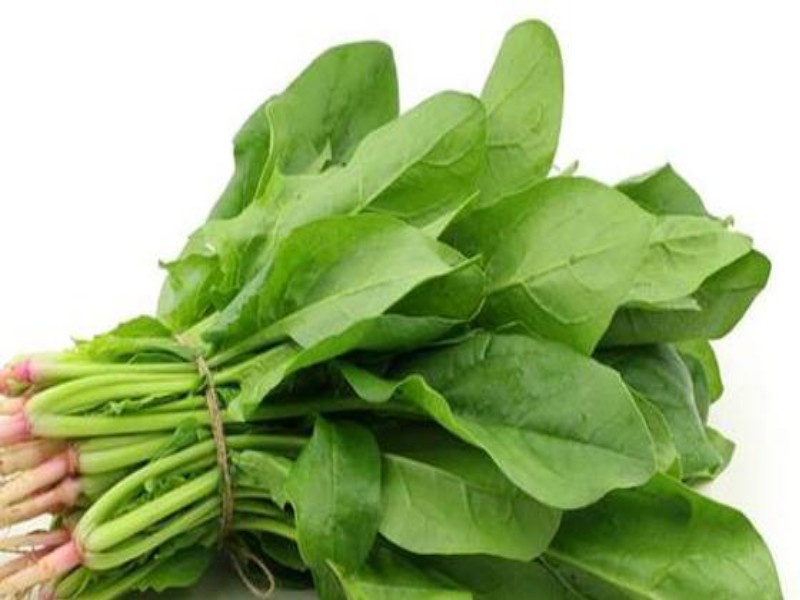 Read which leafy vegetable to be useful in disease | पालेभाज्या टिकवतात तारुण्य : वाचा कोणती भाजी कोणत्या रोगावर ठरते उपयोगी