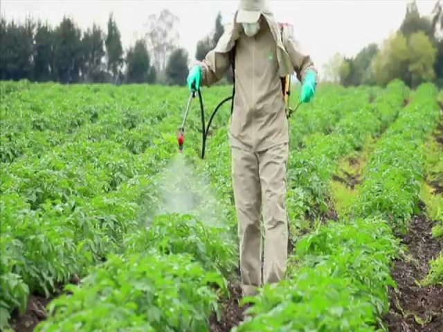  Handle the pesticides carefully | कीटकनाशके काळजीपूर्वक हाताळावी