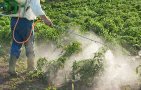 In Manora taluka; Poisoning of two farm laborers by spraying pesticides | मानोरा तालुक्यात किटकनाशकांच्या फवारणीतून दोन शेतमजुरांना विषबाधा