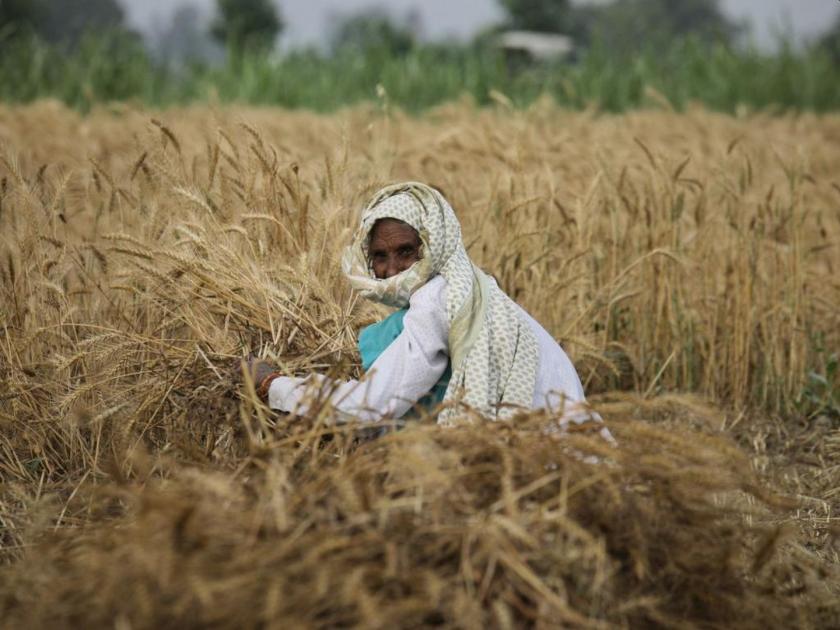 Percentage-wise list of farmers' aid distribution in Maharashtra pdc | शेतकऱ्यांच्या मदत वाटपात टक्केनिहाय यादीचा खोडा