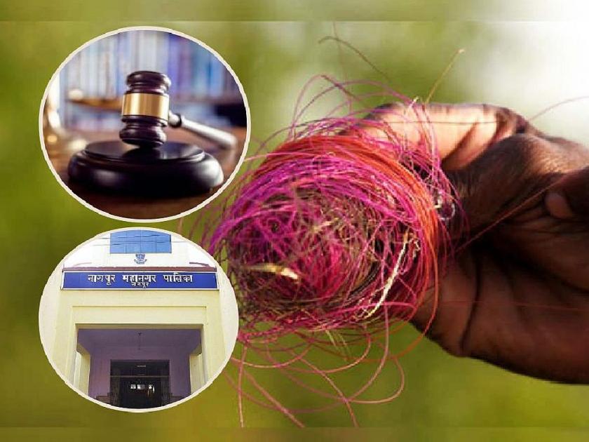 How do you dispose nylon manja? High Court question to nagpur municipal corp | नायलॉन मांजाची विल्हेवाट कशी लावाल? हायकोर्टाची विचारणा, मनपा देणार उत्तर