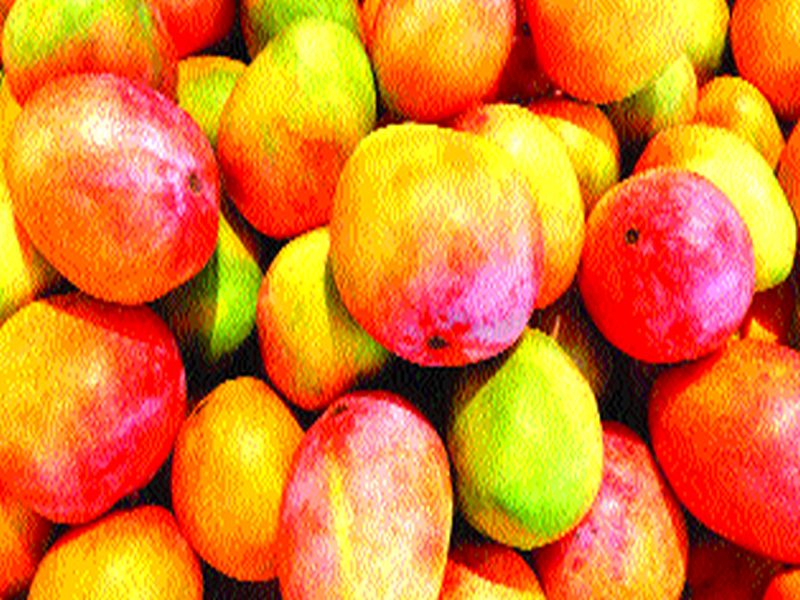 18 crore assistance to mango growers; Benefit to three and a half thousand farmers | आंबा उत्पादकांच्या खात्यात १८ कोटींची मदत; साडेतीन हजार शेतकऱ्यांना लाभ