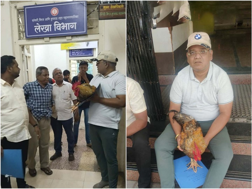 The symbolic movement of the NCP corporator in Sangli Municipal Corporation brought a rooster to the Municipal Corporation | ...अन जिंवत कोंबडा घेऊन नगरसेवक महापालिकेत आला; अधिकाऱ्याची गोची झाली 