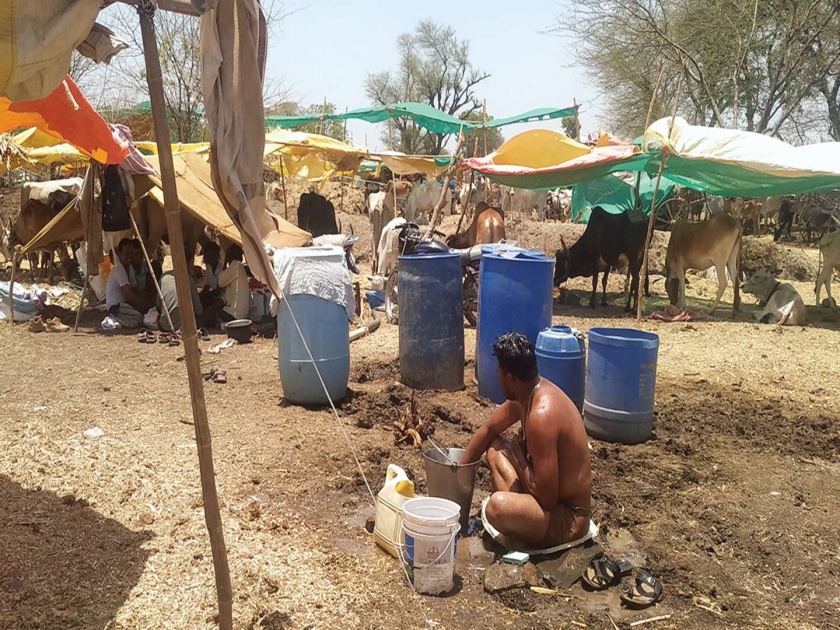 9 thousand drought-hit villages have no government help! | ९ हजार दुष्काळी गावांना शासकीय मदत नाहीच!