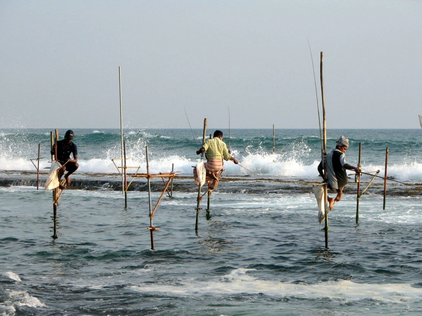 Fisheries production decreased by 22.5% in the state | राज्यात मत्स्य उत्पादनात झाली २२.५ टक्के घट