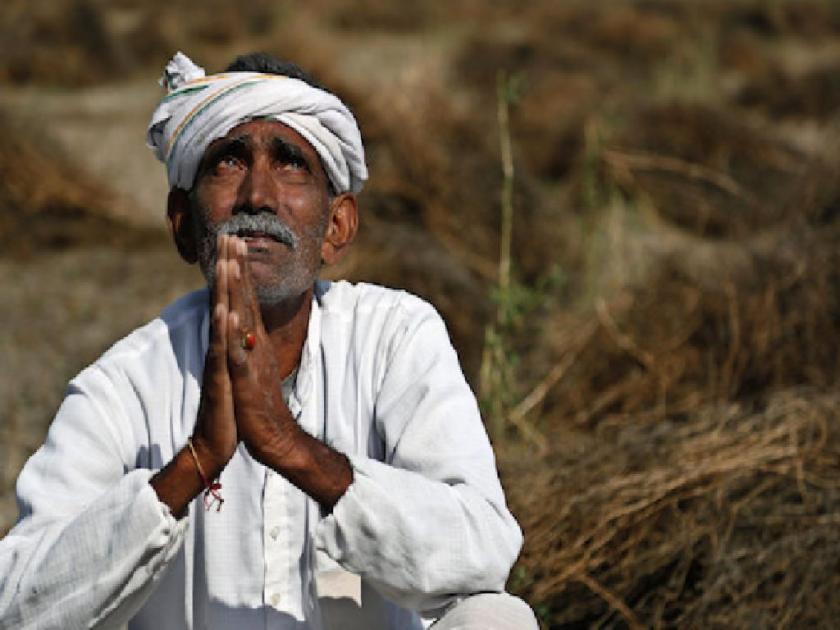 rains stops, crops damages; Drought over Kharif | पावसाची दडी, पिकांना ओढ; खरीपावर दुष्काळछाया