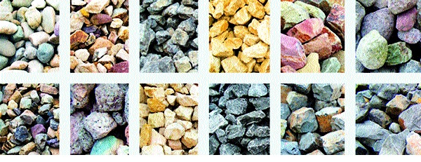  Sangli-Shantiniketan's unique world of stones will be unveiled: Research on the path of collection | सांगली -शांतिनिकेतनमध्ये उलगडणार दगडांचे विश्व अनोखा उपक्रम : संकलनाच्या वाटेवरून संशोधनाला चालना