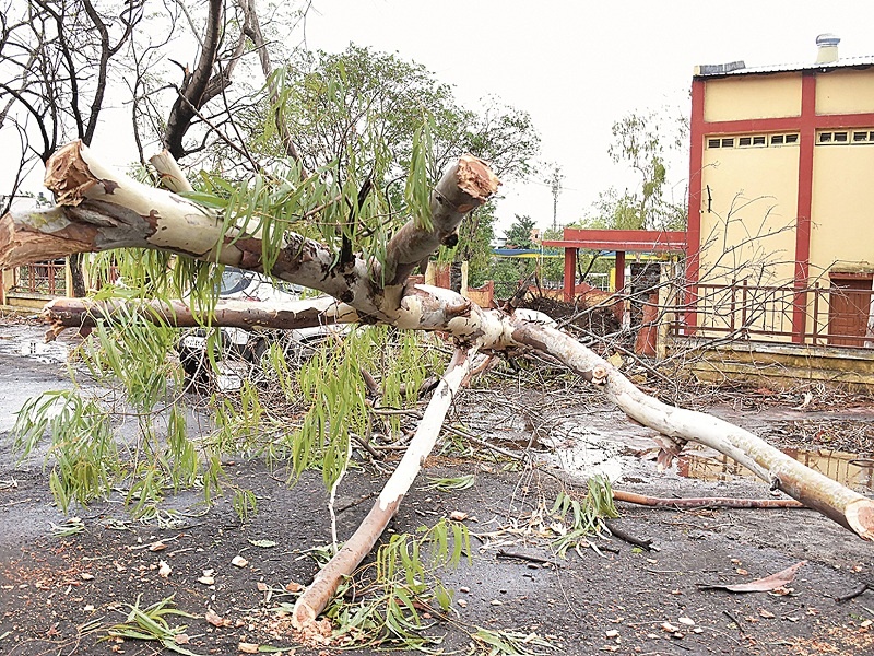 Aurangabad hit by storm wind; Two dead in a wall collapsed | औरंगाबादला वादळी वाऱ्याचा तडाखा; भिंत पडून दोन ठार 