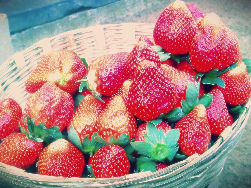 Strawberry season effloresce due to cold season... 30 to 40 percent increase rates In Pune | थंडीमुळे बहरला स्ट्रॉबेरीचा हंगाम... पुण्यात आवक वाढली; दरामध्ये ३० ते ४० टक्क्यांची वाढ