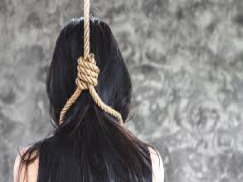 Married women suicide bydue to tortured by husband family | सासरच्या छळाला कंटाळून विवाहितेची आत्महत्या