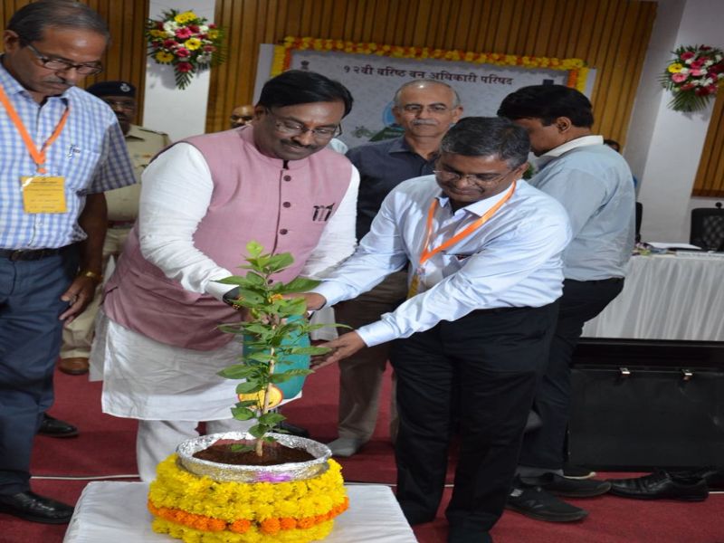 Efforts should be made to make 13 crores of tree plantation grand success - Forest Minister Sudhir Mungantiwar | 13 कोटी वृक्ष लागवडीची महामोहीम यशस्वी करण्यासाठी प्रयत्नांची शर्थ करावी – वनमंत्री सुधीर मुनगंटीवार