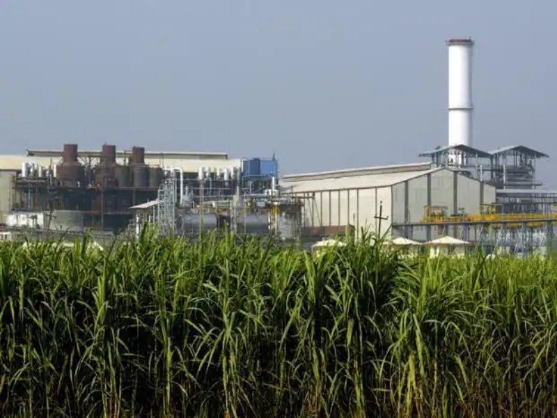 Due to the agitation, 30 factories were closed and sugar production decreased by 6 lakh tonnes | आंदोलनामुळे ३० कारखाने बंदच, साखर उत्पादन ६ लाख टनांनी घटले