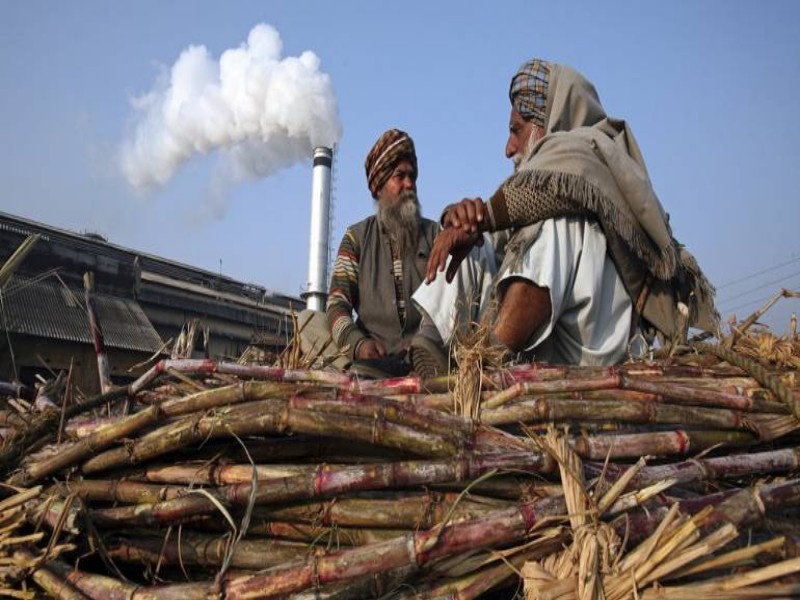 sugar factories on rent for to recover the loan | कर्ज वसुलीसाठी साखर कारखाने दिले भाड्याने : राज्य बँकेचा प्रयोग
