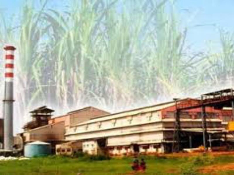 The state's sugar factories FRP pending of about 4750 thousand crore | राज्यातील साखर कारखान्यांकडे एफआरपीची पावणेपाच हजार कोटींची थकबाकी