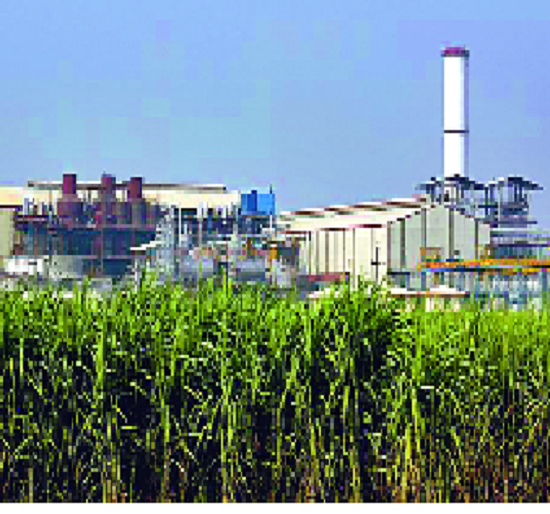Sugar mills are expected to pay Rs 3,800 | साखर कारखान्यांना ३८०० रुपये दर अपेक्षित
