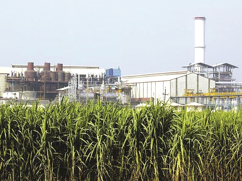 Green lantern to start Tanpure sugar factory | तनपुरे साखर कारखाना सुरू करण्यास हिरवा कंदील