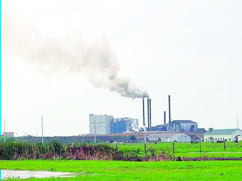 Sugar mills crush today; Distribution of license to 106 factories in the state | साखर कारखान्यांचे गाळप आजपासून; राज्यात १०६ कारखान्यांना परवान्याचे वितरण