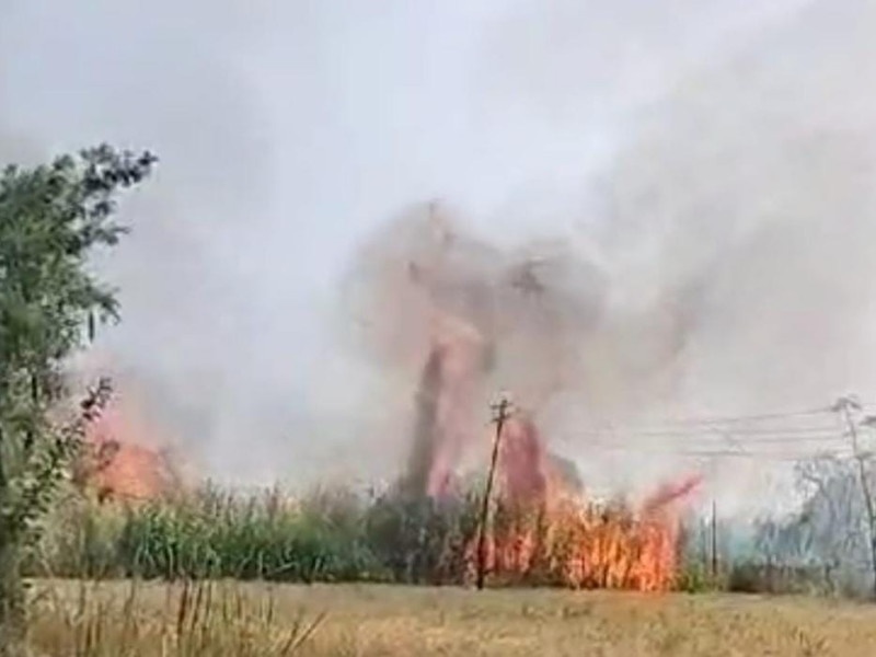 12 acres of sugarcane burnt loss 15 to 16 lakhs in dehu | देहूत १२ एकर ऊस जळून खाक, १५ ते १६ लाखांचे नुकसान