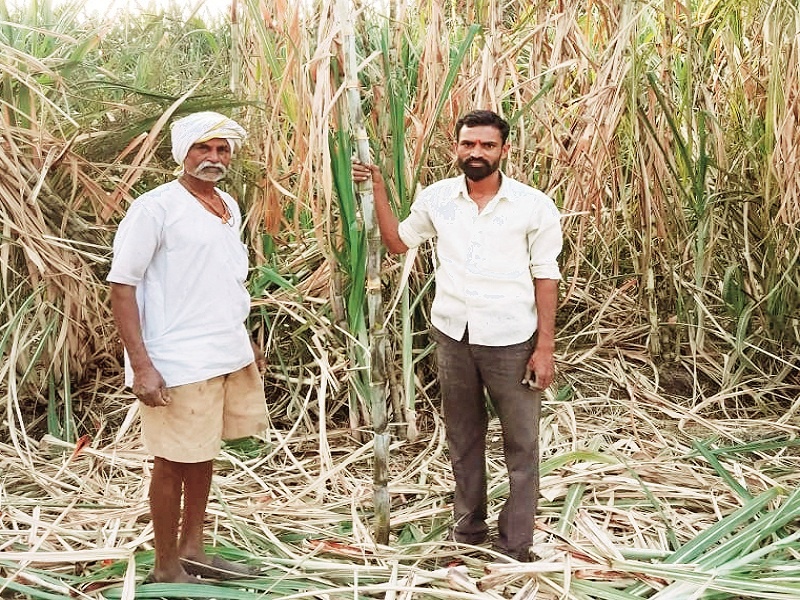 6 million profits from sugarcane juice obtained from organic farming | सेंद्रिय शेतीतील उसाच्या रसविक्रीतून मिळवला सहा लाखांचा नफा 