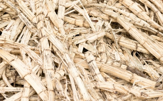 Co-generation project based on sugarcane waste | उसाच्या चिपाडावर आधारित सहवीज निर्मिती प्रकल्प