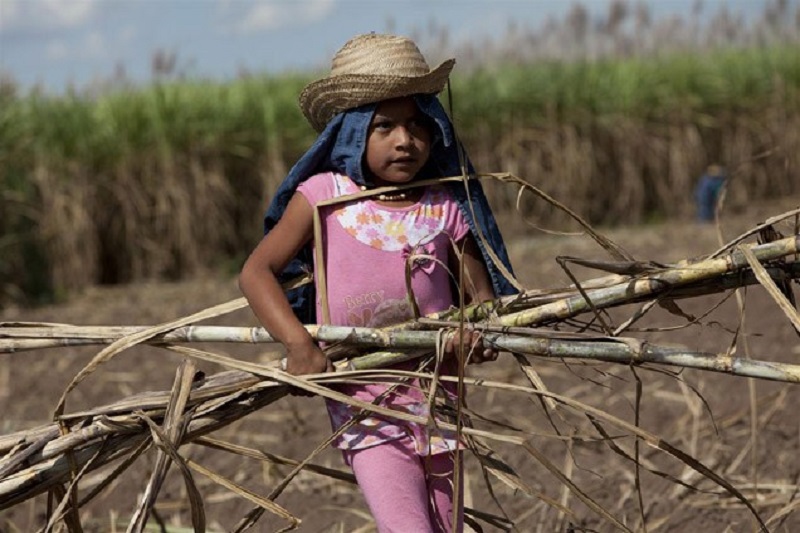 Do this for the children of sugarcane workers! | ऊसतोड कामगारांच्या मुलांसाठी एवढे करा!