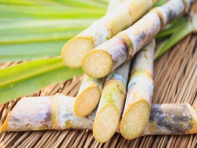  Sugarcane sugar slips after sugar fall; The decision to pay a rate of Rs 2100 | साखरेपाठोपाठ ऊस दरही घसरला; २१00 रुपये दर देण्याचा निर्णय