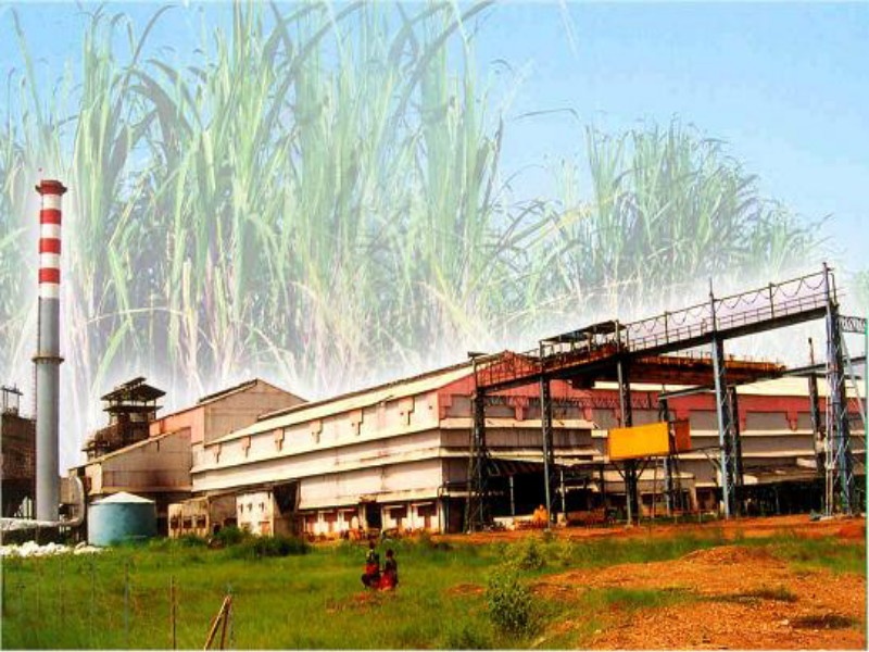 Sugar production in the country is eleven and half million tonnes : Maharashtra leads | देशात साडेअकरा लाख टन साखरेचे उत्पादन : महाराष्ट्र आघाडीवर