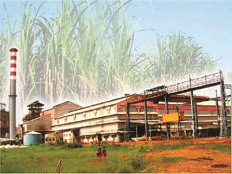 Co-operative sugar factory in Karjat-Jamkhed again; The announcement of the Chief Minister raised the expectations of the constituency | कर्जत-जामखेडला पुन्हा सहकारी साखर कारखाना; मुख्यमंत्र्यांची घोषणा, मतदारसंघाच्या अपेक्षा उंचावल्या
