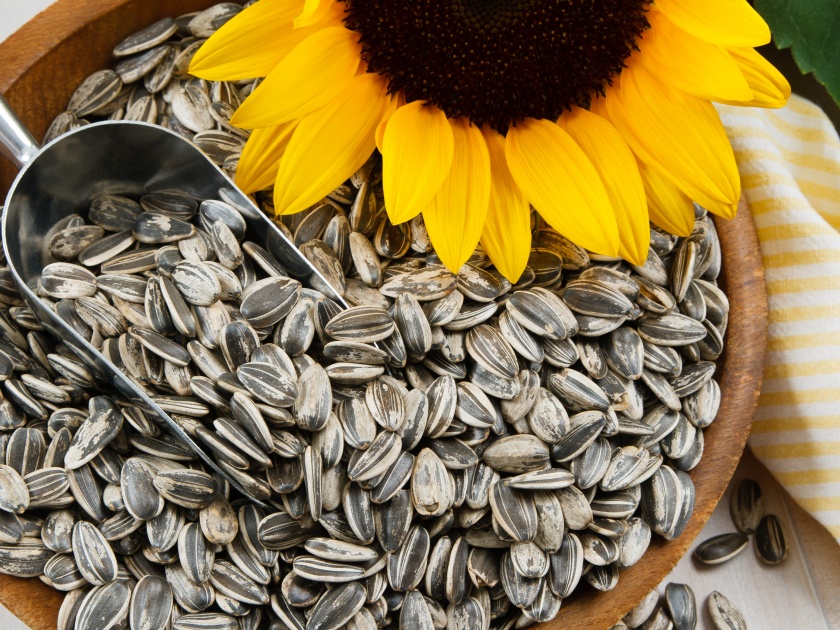 Want to lose weight? Eat these seeds! | वजन कमी करायचंय? या बिया खा!