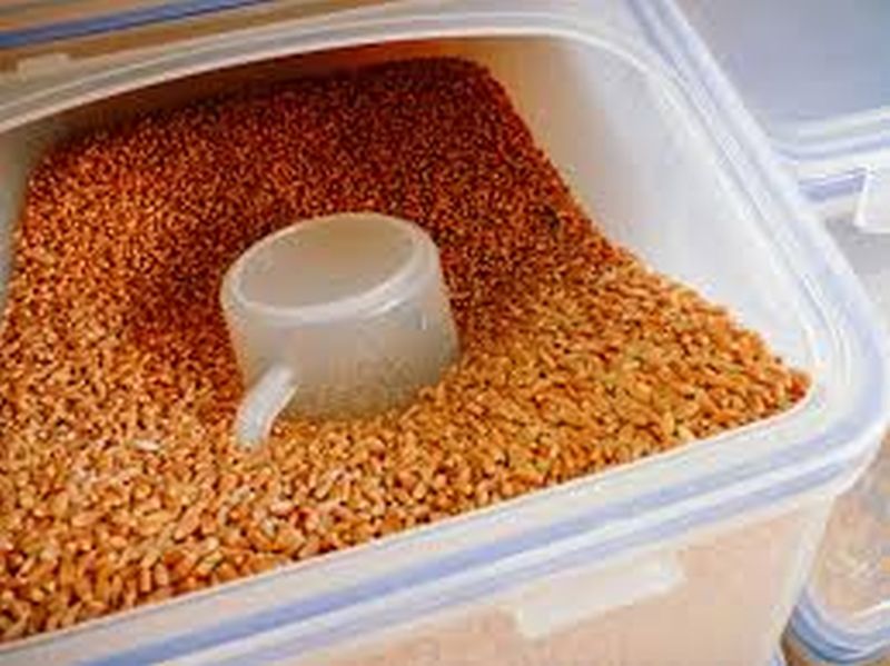 Supply of small amounts of grain, oil to children | बालकांना धान्य, तेलाचा कमी प्रमाणात पुरवठा