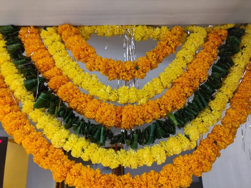 Diwali; Today Vasubaras, Dhanatrayodashi and Guruvadashi | आली दिवाळी; आज वसुबारस, धनत्रयोदशी व गुरुद्वादशी