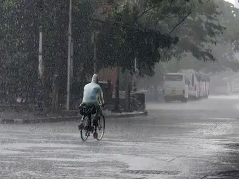 After almost a month of rain in the state, it started raining again on Thursday | बरसल्या आनंद सरी, महिनाभरानंतर राज्यात पाऊस; पिकांना जीवदान
