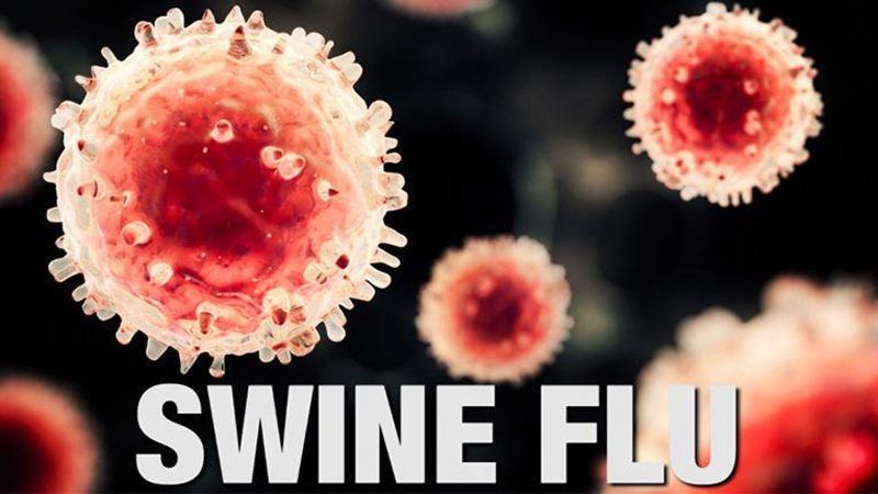 Swine flu is growing in Nagpur! | नागपुरात  स्वाईन फ्लू वाढतोय!