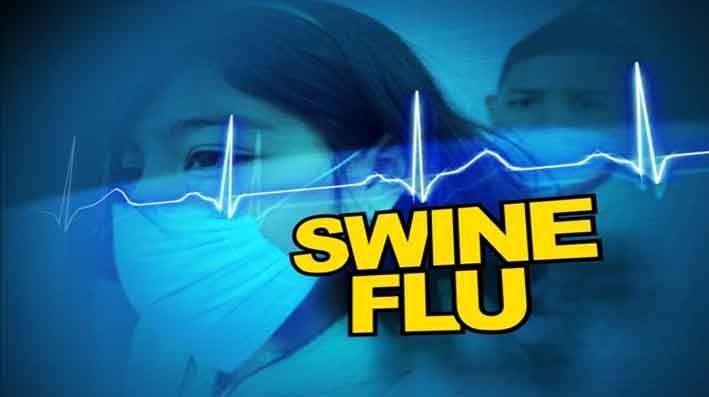Swine Flu Threats in Nagpur District | नागपूर जिल्ह्यात स्वाईन फ्लूने उडवली खळबळ