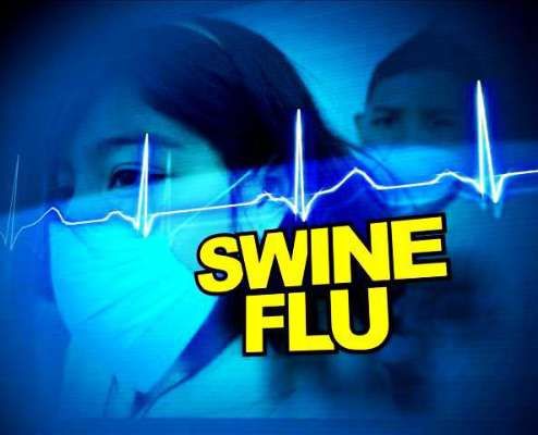 Five more patients of the swine flu were admitted in the Nagpur division | नागपूर विभागात स्वाईन फ्लूमध्ये आणखी पाच रुग्णांची भर