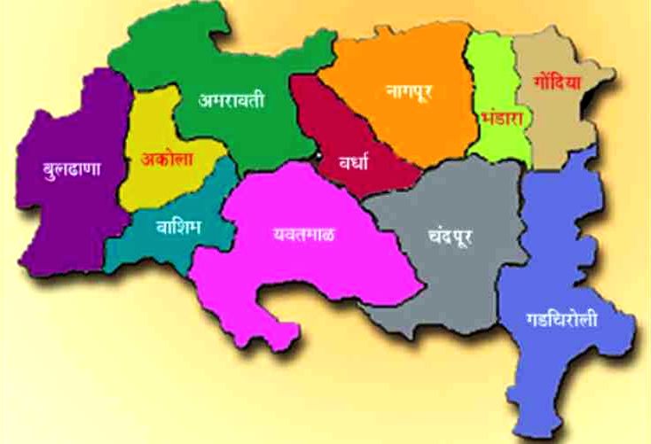 The issue of separate Vidarbha state got wrapped up in political party differences | राजकीय पक्षाच्या मतभेदात विदर्भ राज्याचा मुद्दा गुंडाळला