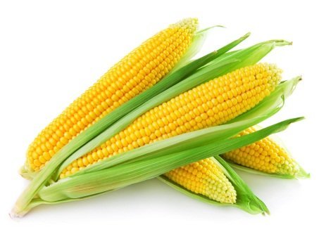 Purchase of stale maize due to lack of warehouse in Nandgaon | नांदगावी गुदामाअभावी रखडली मक्याची खरेदी
