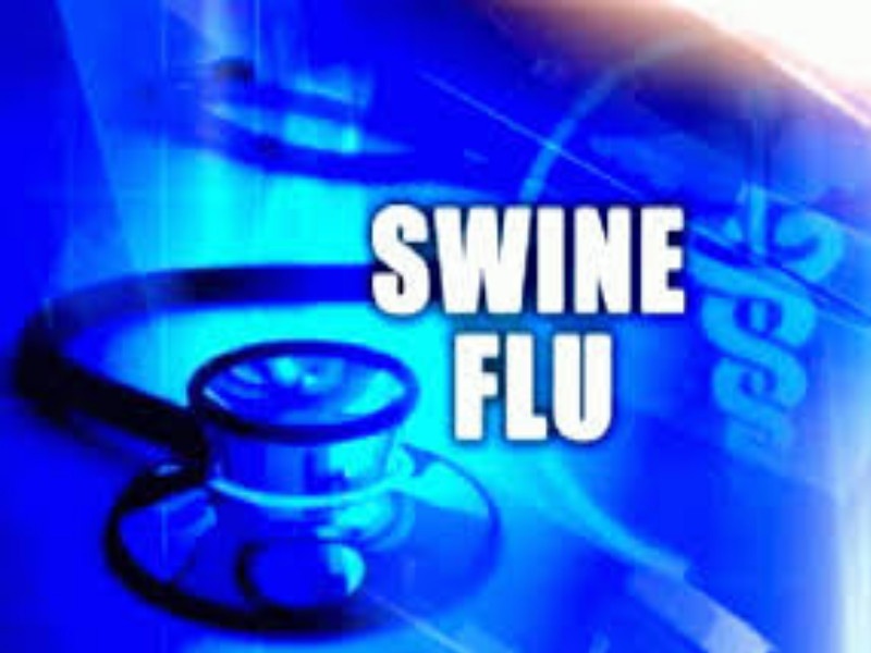10 more people died due to swine flu and number of dead was 20 In Pune | पुण्यात स्वाईन फ्लूने आणखी दहा जणांचा बळी , मृतांचा आकडा २० वर 