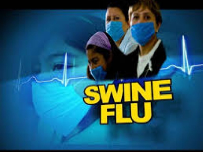 Maharashtra has the highest number in the swine flu deaths; Top in the country | स्वाईन फ्लुचे सर्वाधिक मृत्यू महाराष्ट्रात; देशात अव्वल