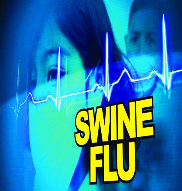 MMP employee swine flu victim | मनपा कर्मचारी स्वाइन फ्लूचा बळी