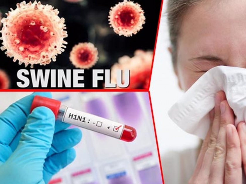 Two infected with swine flu in Nashik; Datli woman dies | नाशकात दोघांना स्वाईन फ्लूची लागण; दातलीच्या महिलेला मृत्यू