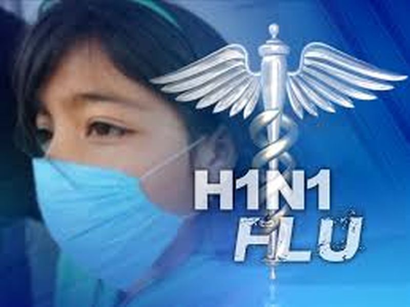 Swine flu reduces mortality rate by 50%! | स्वाइन फ्लूने मृत्युचे प्रमाण ५० टक्क्यांनी घटले!